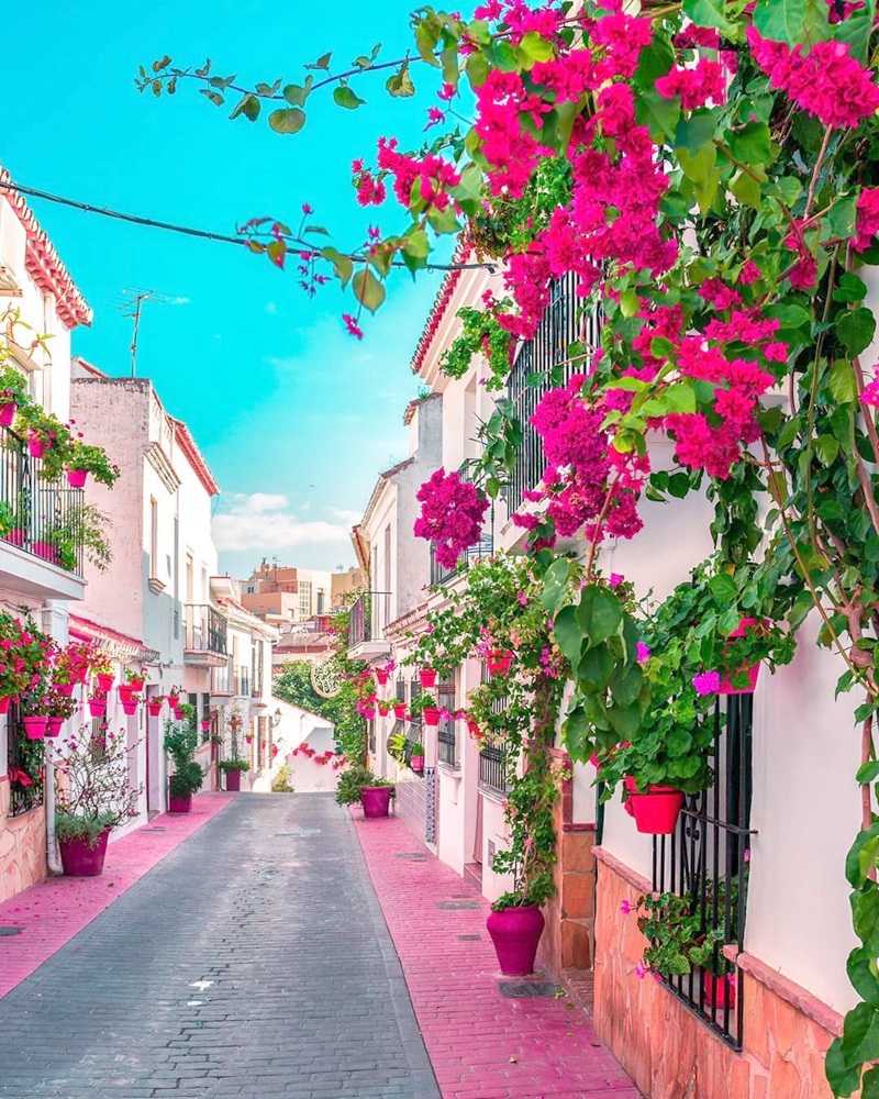 estepona-costa-del-sol